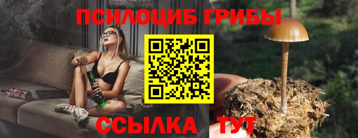 Псилоцибиновые грибы GOLDEN TEACHER Лысьва